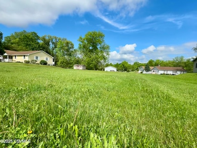 237 S Thomas St, Beavertown, PA 17813 - photo 3