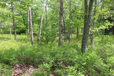 2 Marions Way, Chilmark, MA 02535 - photo 6