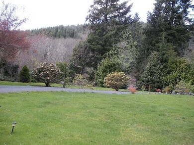 BACK YARD MOUNTAIN VIEW