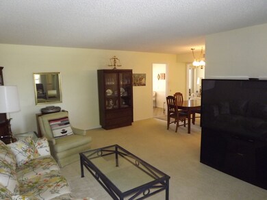 10034 W Ocotillo Dr, Sun City, AZ 85373 - photo 6