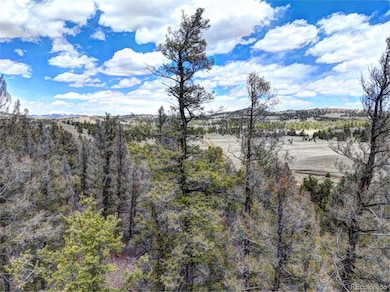 0 Galahad Way unit REC7827714, Hartsel, CO 80449 - photo 5