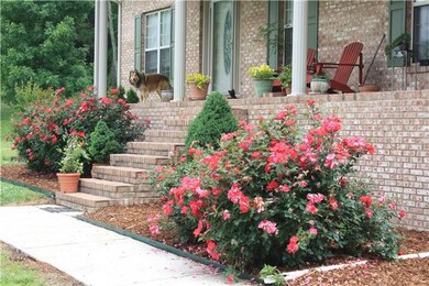 Close-Up View of Landscaping