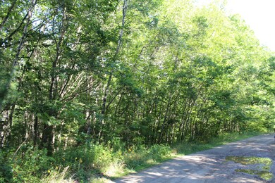 Lot #2 West St, Jefferson, ME 04348 - photo 5