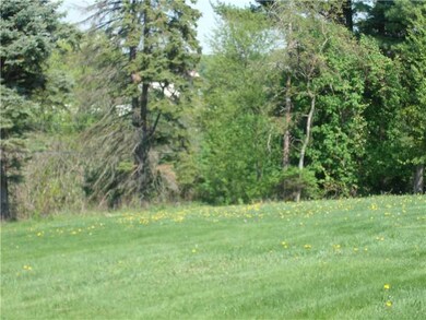 Yard/Garden.