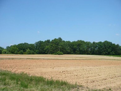 Tobacco Fields