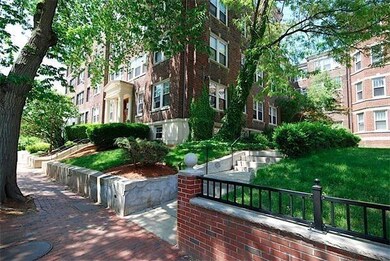 333 Harvard St unit 8, Cambridge, MA 02139 - photo 4