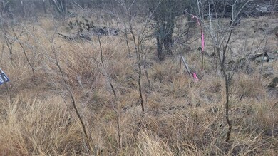 00 Grandview Dr, Lake Brownwood, TX 76801 - photo 7