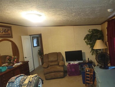 10254 County Road 130, Brownwood, TX 76801 - photo 2