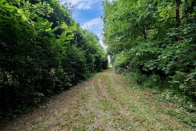 10-web-or-mls-4004-sintz-rd