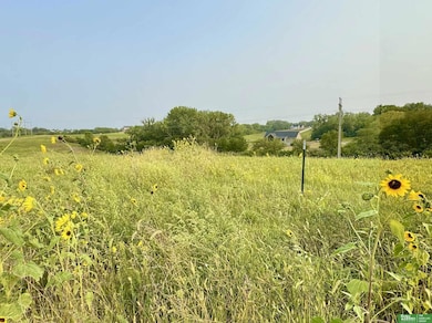 22653 Quarry Cir, Melia-Forest City Precinct, NE 68028 - photo 4