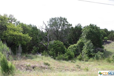 2404 Big Divide Rd, Copperas Cove, TX 76522 - photo 4