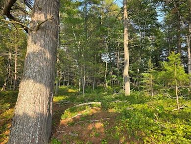 4680 S Pineshore Row, Brimley/Bay Mills, MI 49715 - photo 4