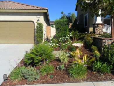 Low Maintenance and Drought Friendly Landscaping