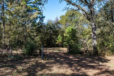 13793 Acr 404, Palestine, TX 75803 - photo 6