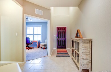 10827 Yaupon Holly, Helotes, TX 78023 - photo 3