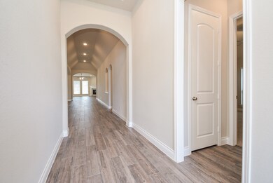 28511 Sycamore Falls Ln, Fulshear, TX 77441 - photo 4