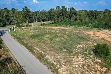 113 Shepherd Loop Dr, Arkadelphia, AR 71923 - photo 3