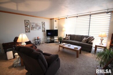 Summit Ridge Condominiums unit 6D, East Moline, IL 61244 - photo 2