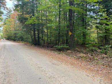 tbd Flat Ground, Acton, ME 04001 - photo 6