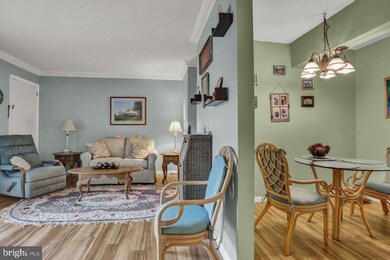 42 Maple St unit 3E, Mohnton, PA 19540 - photo 3