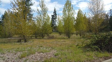 0 Josephine St unit 102954864, Merlin, OR 97532 - photo 6