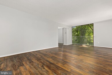 2100 Washington Ave unit 2C, Silver Spring, MD 20910 - photo 7