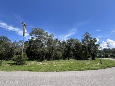 IMG_0298