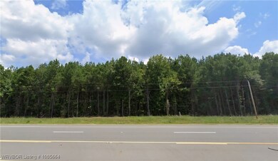 TBD Highway 167, Other Ar, AR 71744 - photo 4