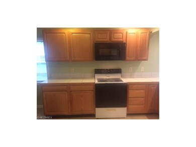 1812 March Road Extension, Jefferson, OH 44047 - photo 5