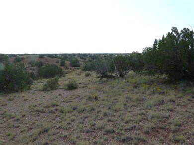Lot 577 Ccr Unit 4 -- unit 577, Heber, AZ 85928 - photo 4