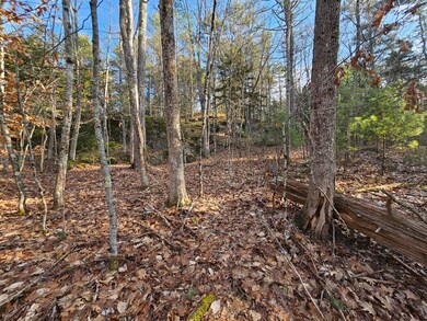 10-29.1 River Rd, Dresden, ME 04342 - photo 2