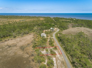 149 Hidden Harbor Dr, Alligator Point, FL 32346 - photo 2