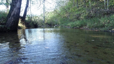 0 Phelps Dunham Rd, Edmonton, KY 42129 - photo 4