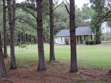 18137 State Route 188, Coolidge, GA 31738 - photo 2