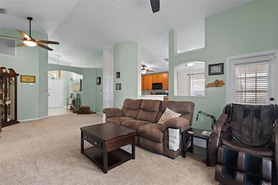 18959 Wood Sage Dr, Tampa, FL 33647 - photo 7