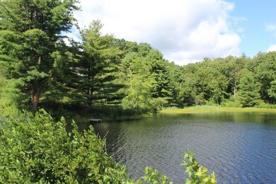 17 Old Stagecoach Dr, Monson, MA 01057 - photo 5