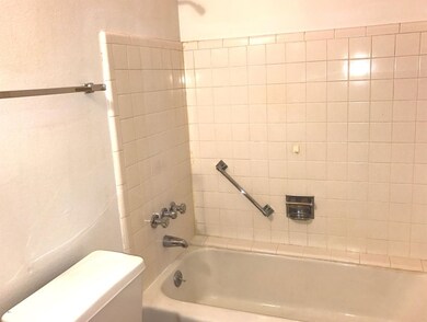 Master bath 1