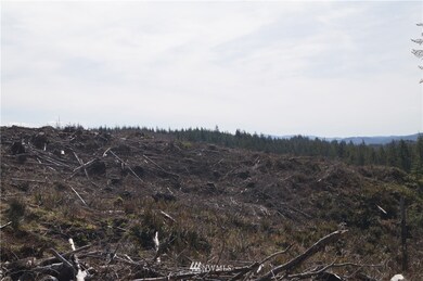 0 M.P. 62 U S 101, Raymond, WA 98577 - photo 5