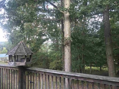 2306 Katie Ln, Morristown, TN 37814 - photo 6