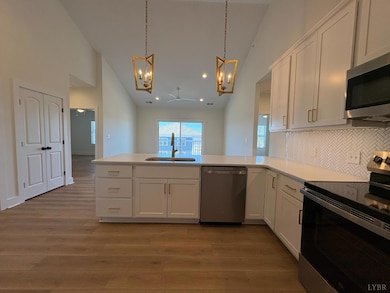 420 Capstone Dr unit 306, Lynchburg, VA 24502 - photo 5