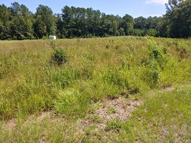 000 Oak Hampton Rd, Fleming, GA 31309 - photo 6