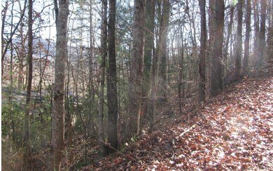 Additional View