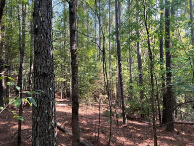 20.7 ac County Road 118, Water Valley, MS 38965 - photo 6