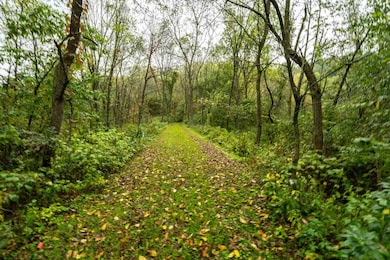 E11695 Chadwick Hollow Rd, Viola, WI 54664 - photo 5