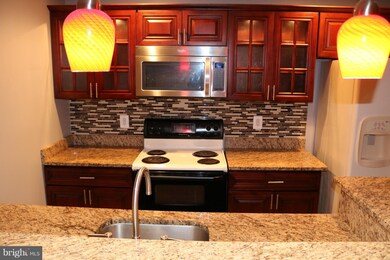 42253 Palm Cove Ct, Chantilly, VA 20152 - photo 2