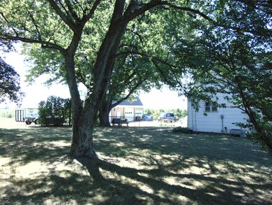 DSC00736
