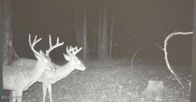 0 Holly Grove Meeks Rd unit 4131879, Cruger, MS 38924 - photo 3