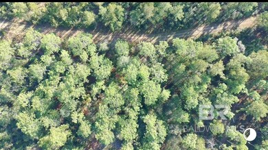 0 Patterson Rd unit 388847, Robertsdale, AL 36567 - photo 3