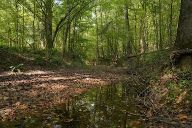 0 Bethesda Rd unit 11612880, Crystal Springs, MS 39059 - photo 7