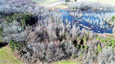 44 Ac Off Cattail, Elm City, NC 27822 - photo 3